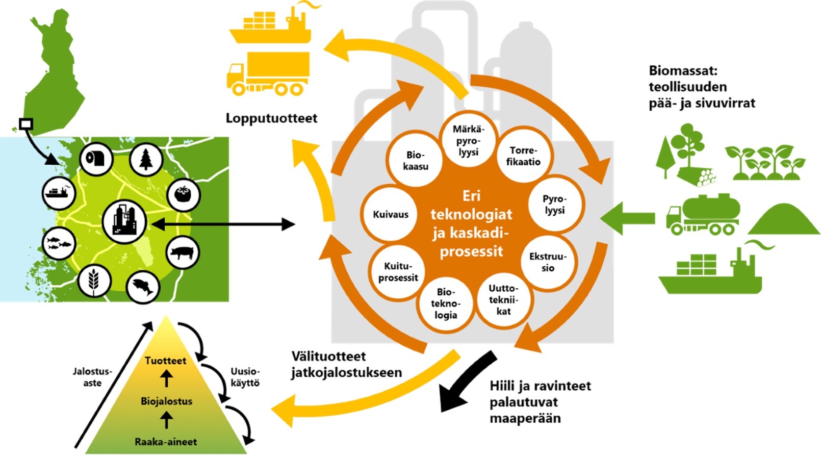 Tulevaisuuden biokiertotalous arvostaa raaka-aineita ja tähtää niiden kokonaisvaltaiseen hyödyntämiseen