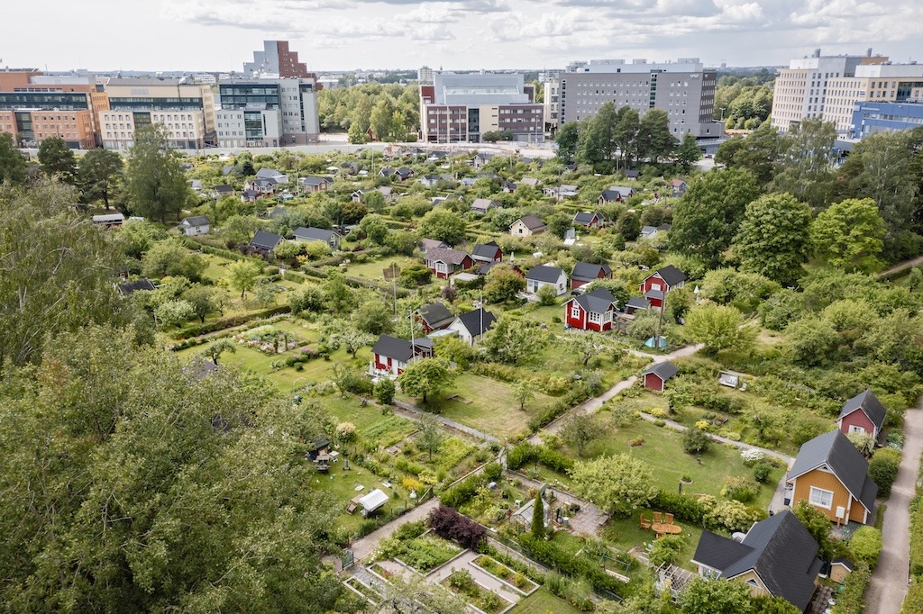 Siirtolapuutarhoille uudet vuokrasopimukset 30 vuodeksi – muutoksia vuokriin ja kunnossapitovastuisiin